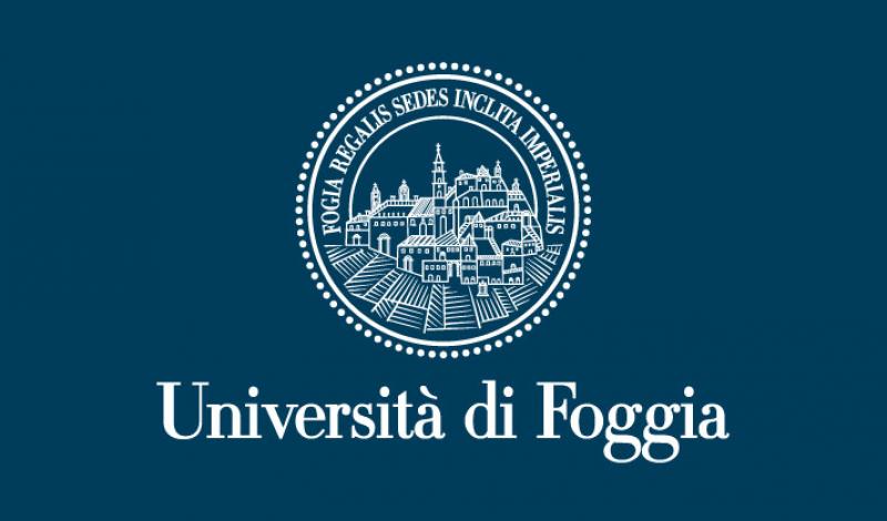 Logo Unifg