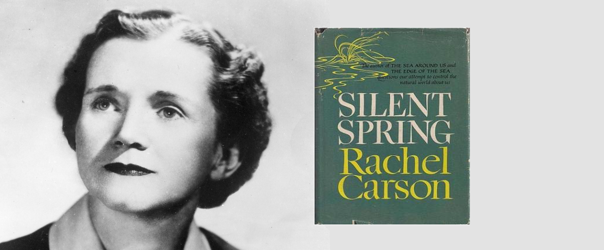 Convegno Rachel Carson