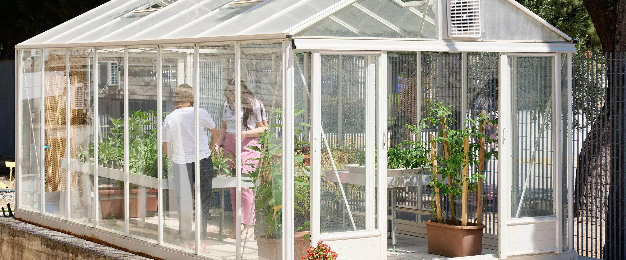 Laurea-in-Scienze-e-Tecnologie-agrarie