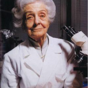 Montalcini