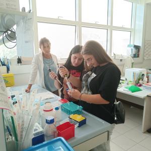 Dipartimenti di Area Medica