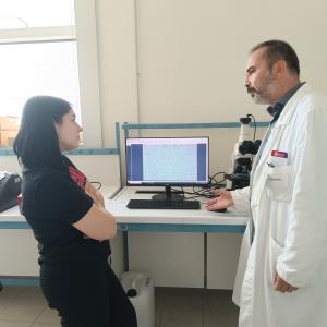 Dipartimenti di Area Medica