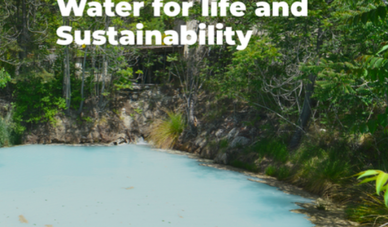 Water for life and sustainablity