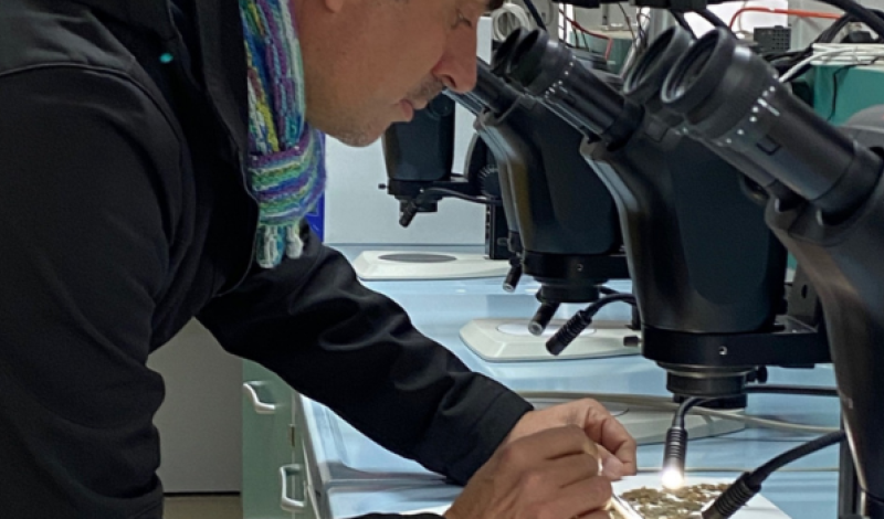 Laboratorio di botanica