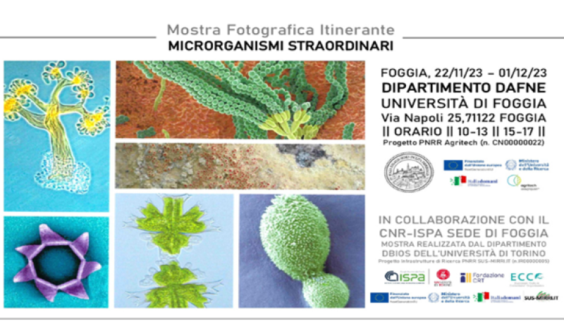 microrganismi-straordinari