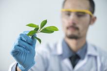 Uomo con camice da laboratorio tiene in mano una piantina